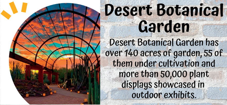 Desert Botanical Garden