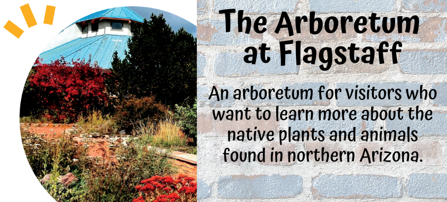 The Arboretum at Flagstaff