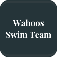 Swim Team Button