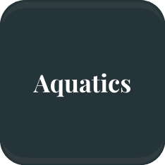 Aquatics Button