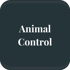 PD - Animal Control Button