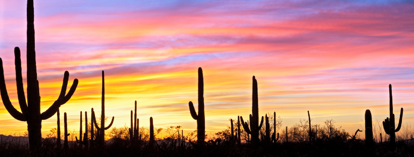 Departments Main Tab